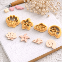 lots coquillage