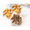 corail