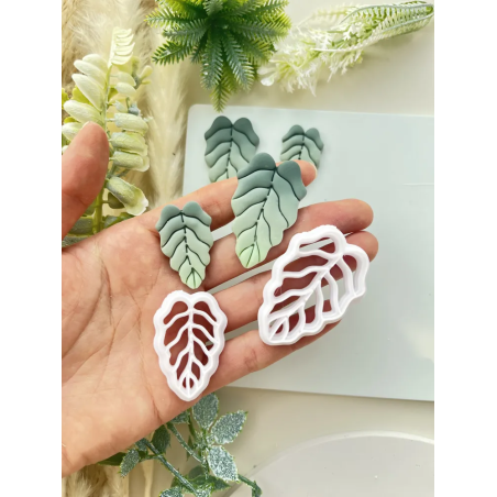 lots monstera