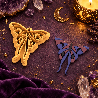Emporte-pièce papillon de nuit | Atelier Pastel
